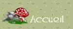 retour accueil site